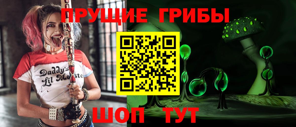 Псилоцибиновые грибы Magic Shrooms  Вход с VPN  Сухой Лог 